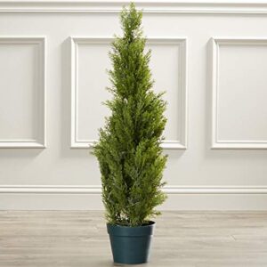 Green Juniper Ornamental Plant/Junipers Plant with Pot