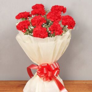 Bright Red Blossom Carnations Bouquet