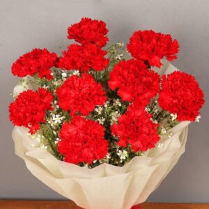 Bright Red Blossom Carnations Bouquet