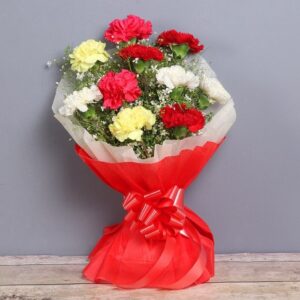 Mix Carnations Bouquet