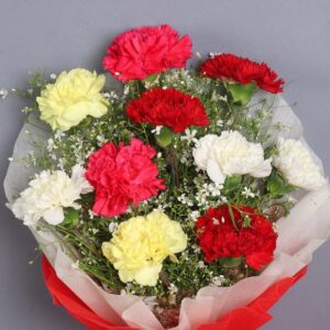 Mix Carnations Bouquet