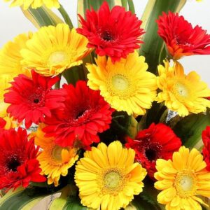 Mix Gerberas Basket “Strong Memories”