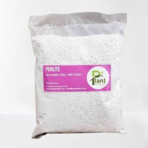 Perlite – 1 kg