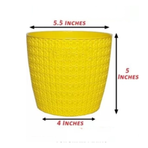 5.5 inches Yellow Oslo Plastic Pot (Set of 2)